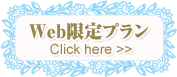 Web限定プラン